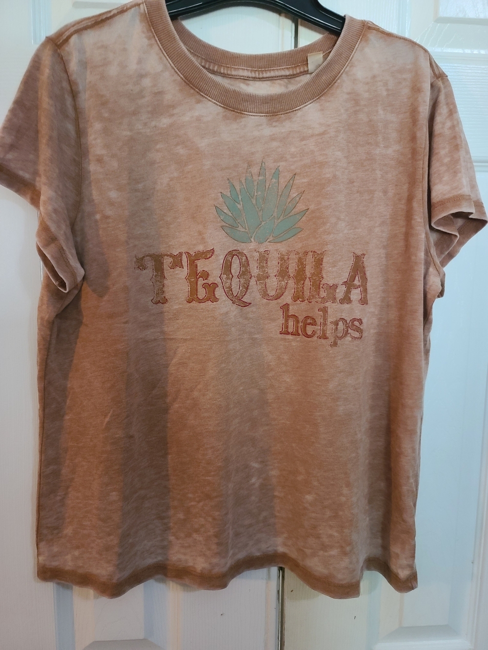 Idyllwind Washed Tan Short Sleeve Tee with Mint Agave Graphic
